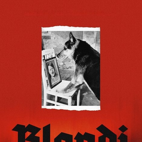Blondi