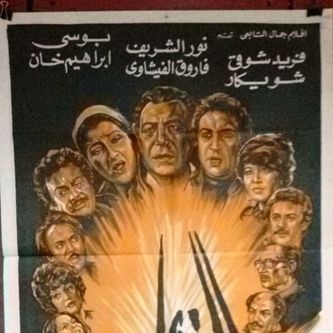 الذئاب