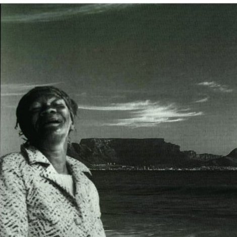 Pavement Aristocrats - The Bergies of Cape Town