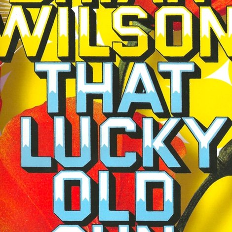 Brian Wilson: That Lucky Old Sun