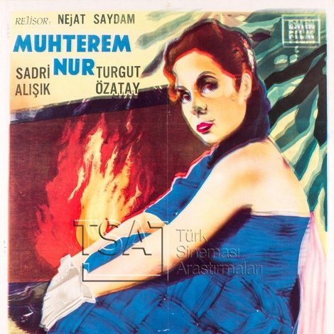 Kül Kedisi