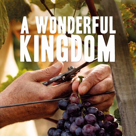 A Wonderful Kingdom
