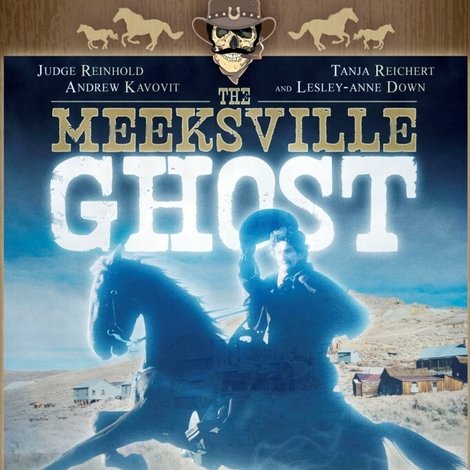 The Meeksville Ghost