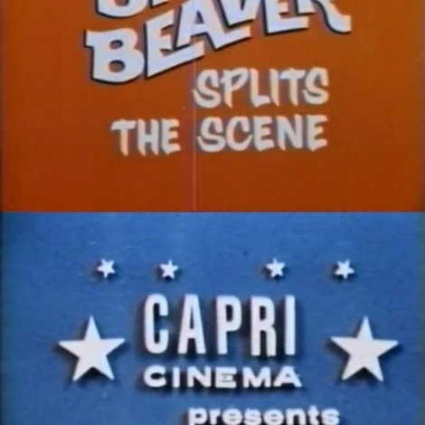 Big Beaver Splits the Scene
