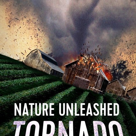 Nature Unleashed: Tornado