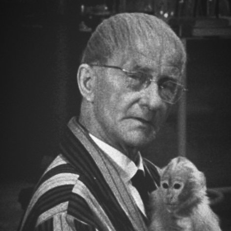 Profesor Zazul