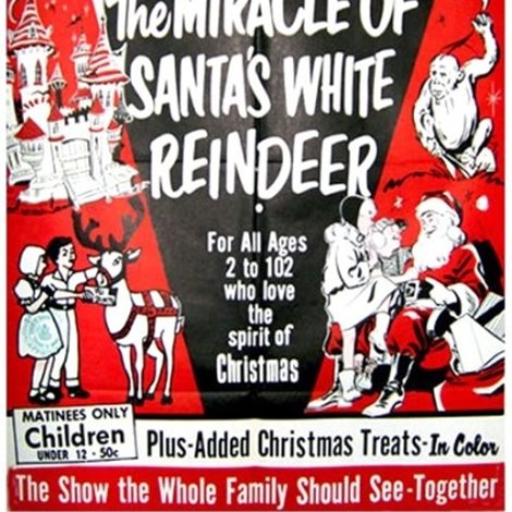 The Miracle of the White Reindeer