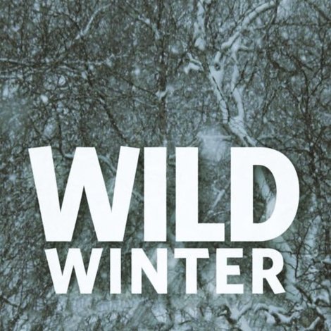 Wild Winter