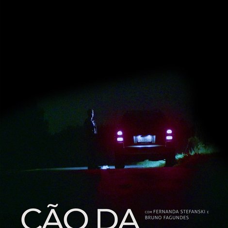 Cão da Estrada