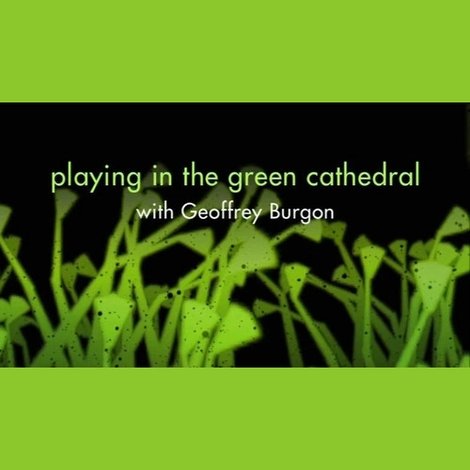 Playing in the Green Cathedral