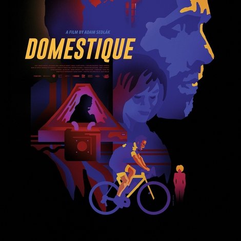 Domestik