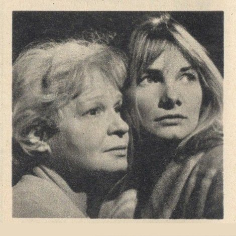 The Glass Menagerie