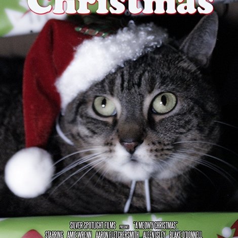 A Meowy Christmas
