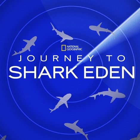 Journey to Shark Eden