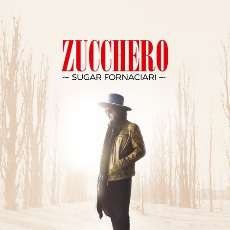 Zucchero | Sugar Fornaciari