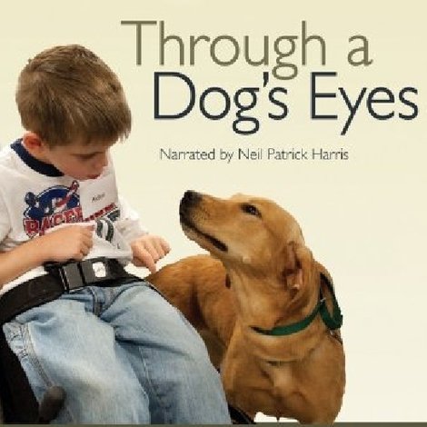 Through a Dog's Eyes