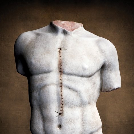 Taxidermia
