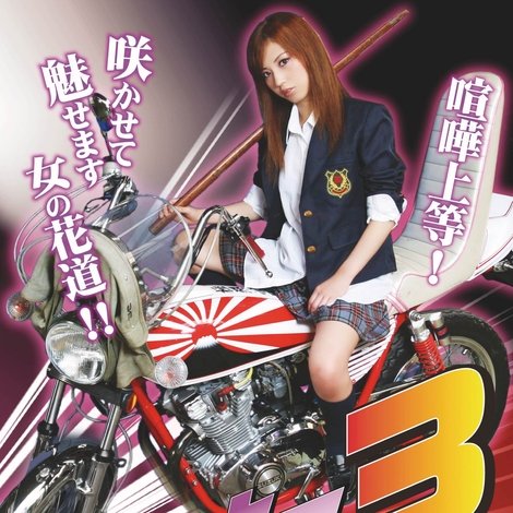 ヤンキー女子高生3 ~埼玉最強伝説~