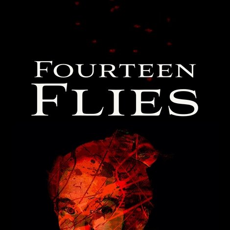 Fourteen Flies