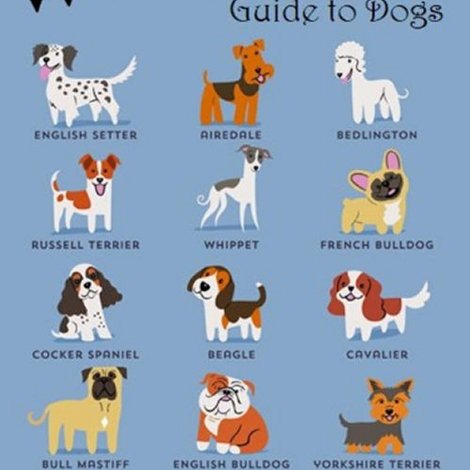 Woof! A Horizon Guide to Dogs