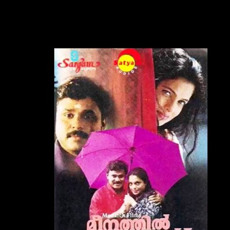 മീനത്തിൽ താലികെട്ട്
