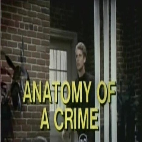Anatomy of a Crime
