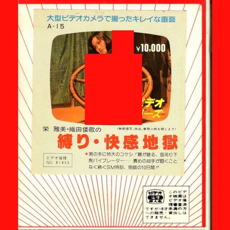 栄雅美・織田倭歌の 縛り・快感地獄
