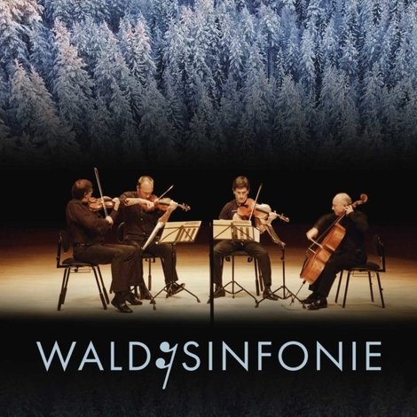 Wald:Sinfonie