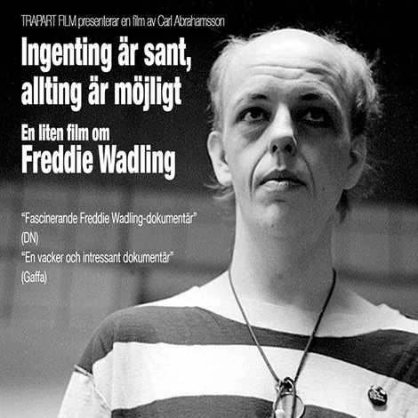 Ingenting är sant, allting är möjligt – en liten film om Freddie Wadling