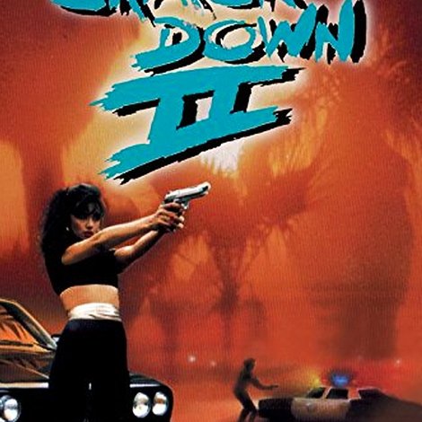 L.A. Crackdown II