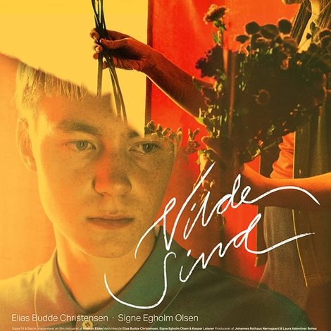 Vilde sind