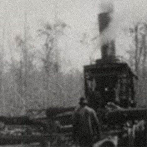 Fieldwork Footage
