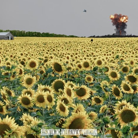 As the Sunflower Whispers