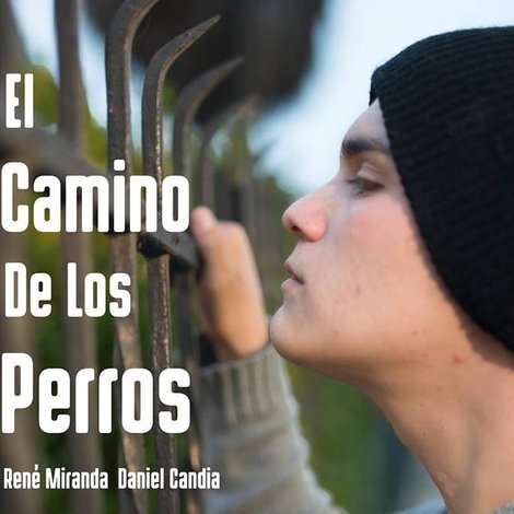 El Camino De Los Perros