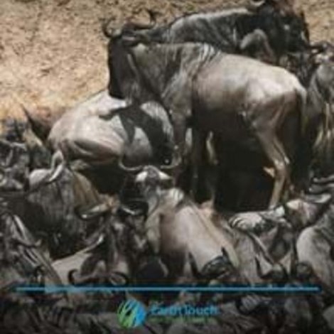 Blood River Crossing
