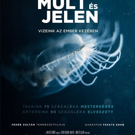 Múlt és jelen - Vizeink az ember kezében