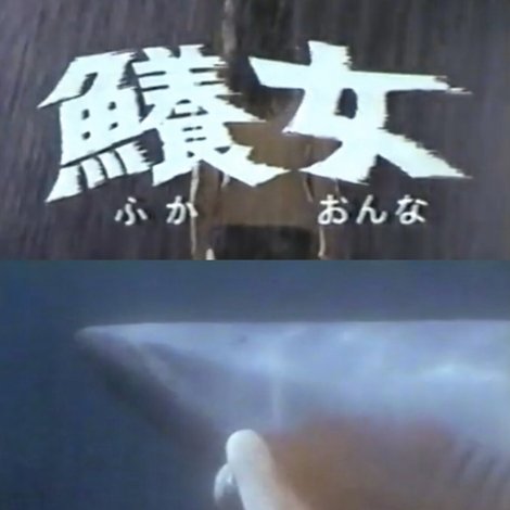 恐怖の人喰い鱶鱶女