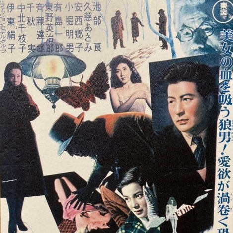 吸血蛾