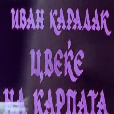 Цвеќе на карпата