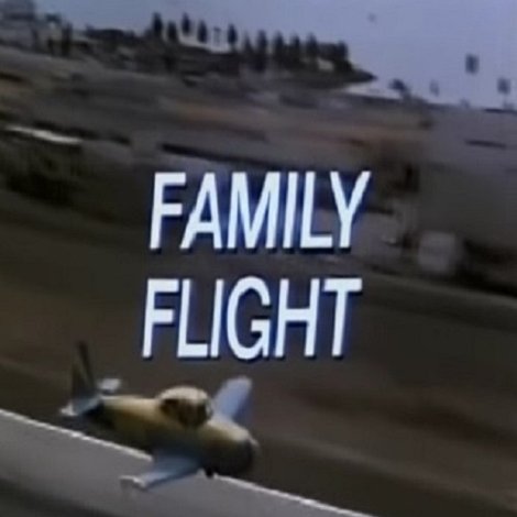 Family Flight