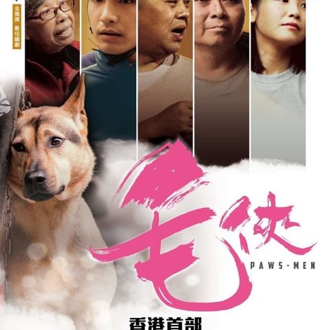 毛俠