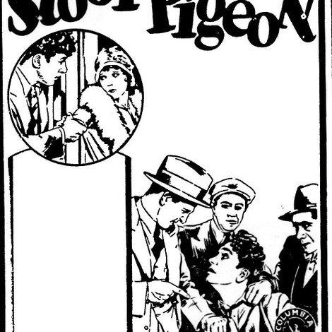 Stool Pigeon