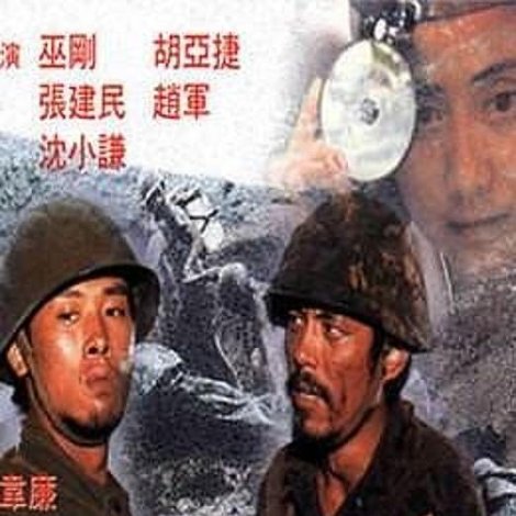 雷场相思树