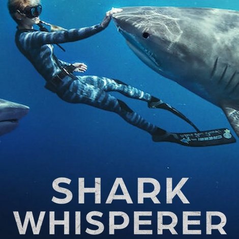 Shark Whisperer