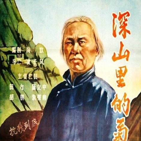 深山里的菊花