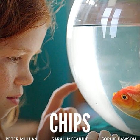 Chips