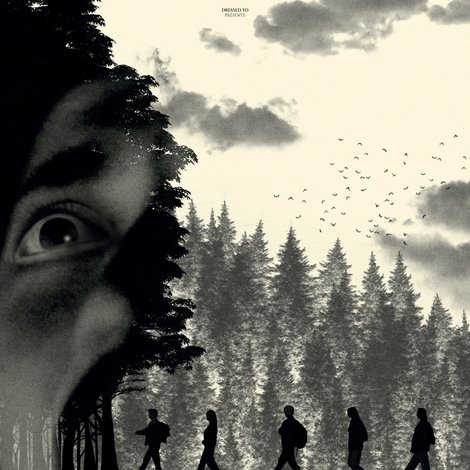 In Forest
