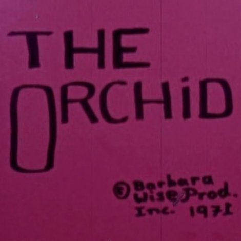 The Orchid