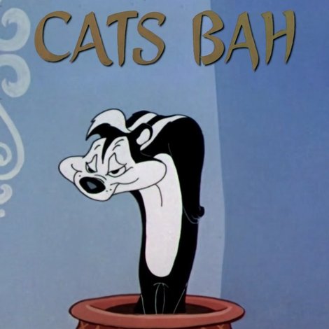 The Cats Bah