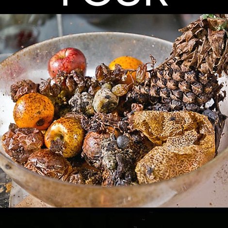 After Life: The Strange Science of Decay
